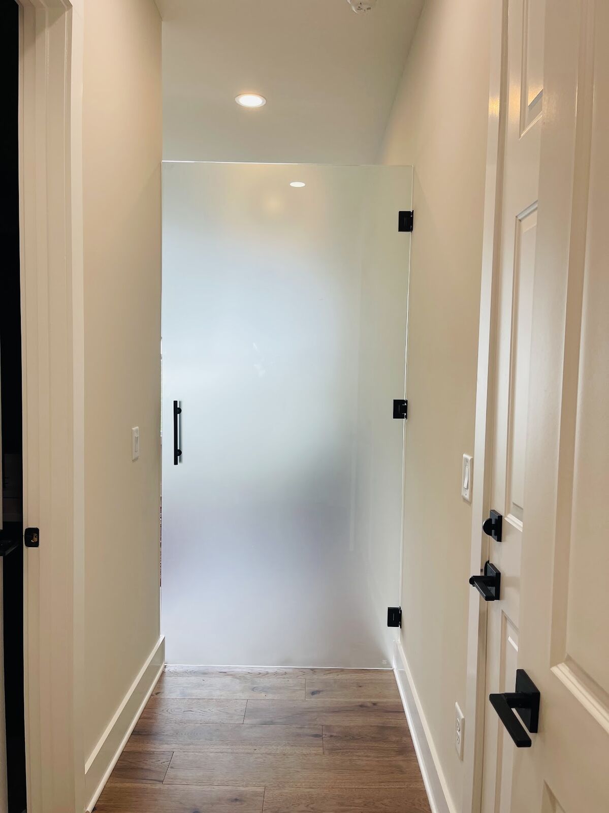 Frosted glass door